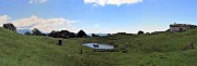 44 Alla bella conca prativa della Baita Sornadello (1407 m) tre asinelli al pascolo